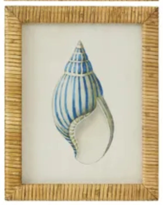 CTC - Heron Shell Framed Glass Print Series