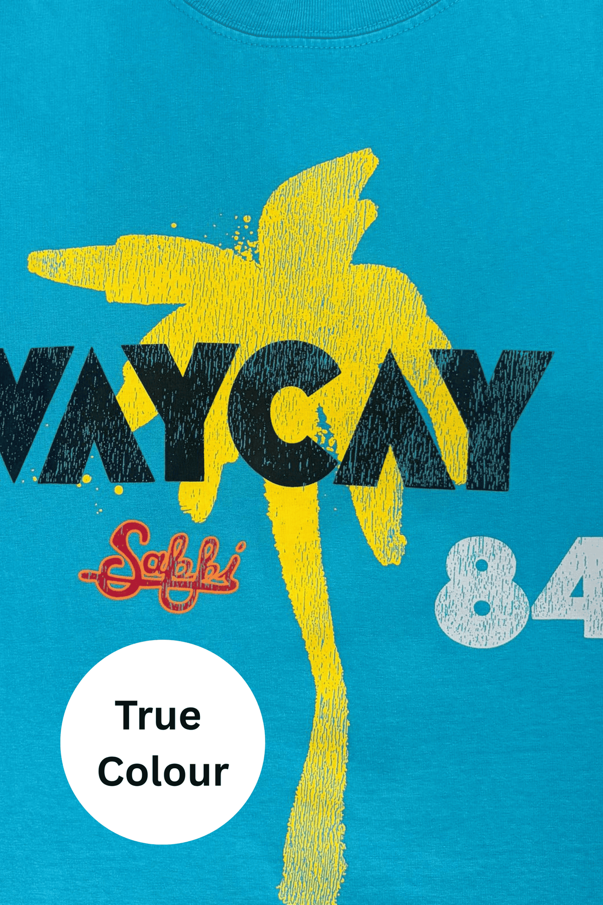 Sabbi - VACAY RECORDS TEE