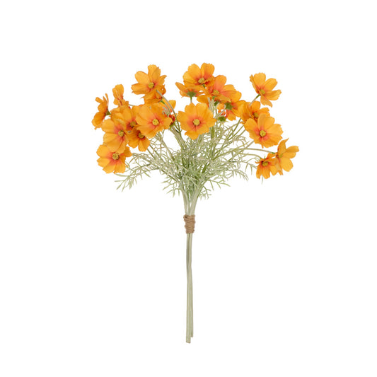 Rogue - Cosmos Flower Bunch - Orange