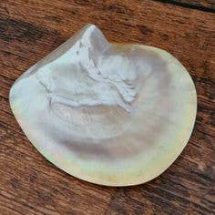 Saltist - The Mother of Pearl Caviar Set