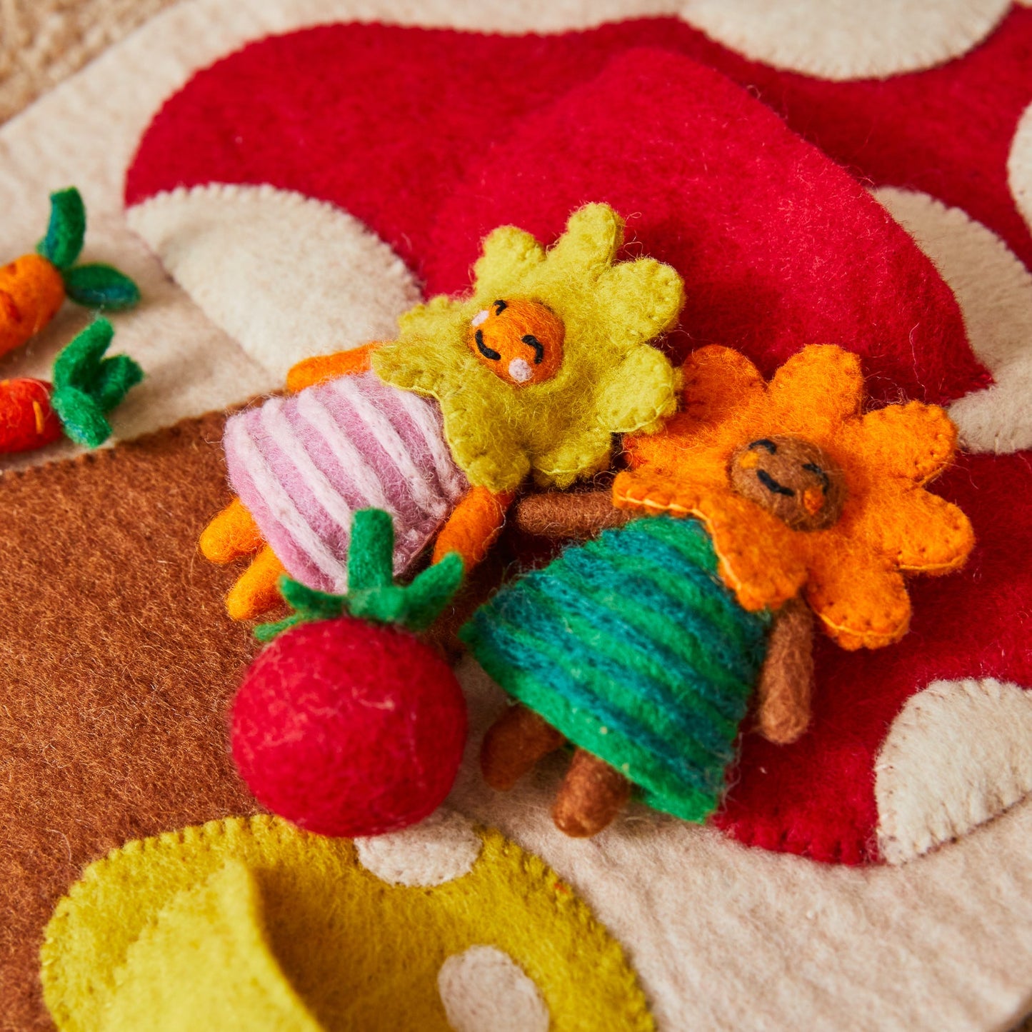 Sage X Clare - Margette Felt Wall Hanging