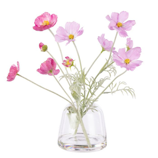 Rogue - Poppy Cosmos Mix - Giselle - Pinks