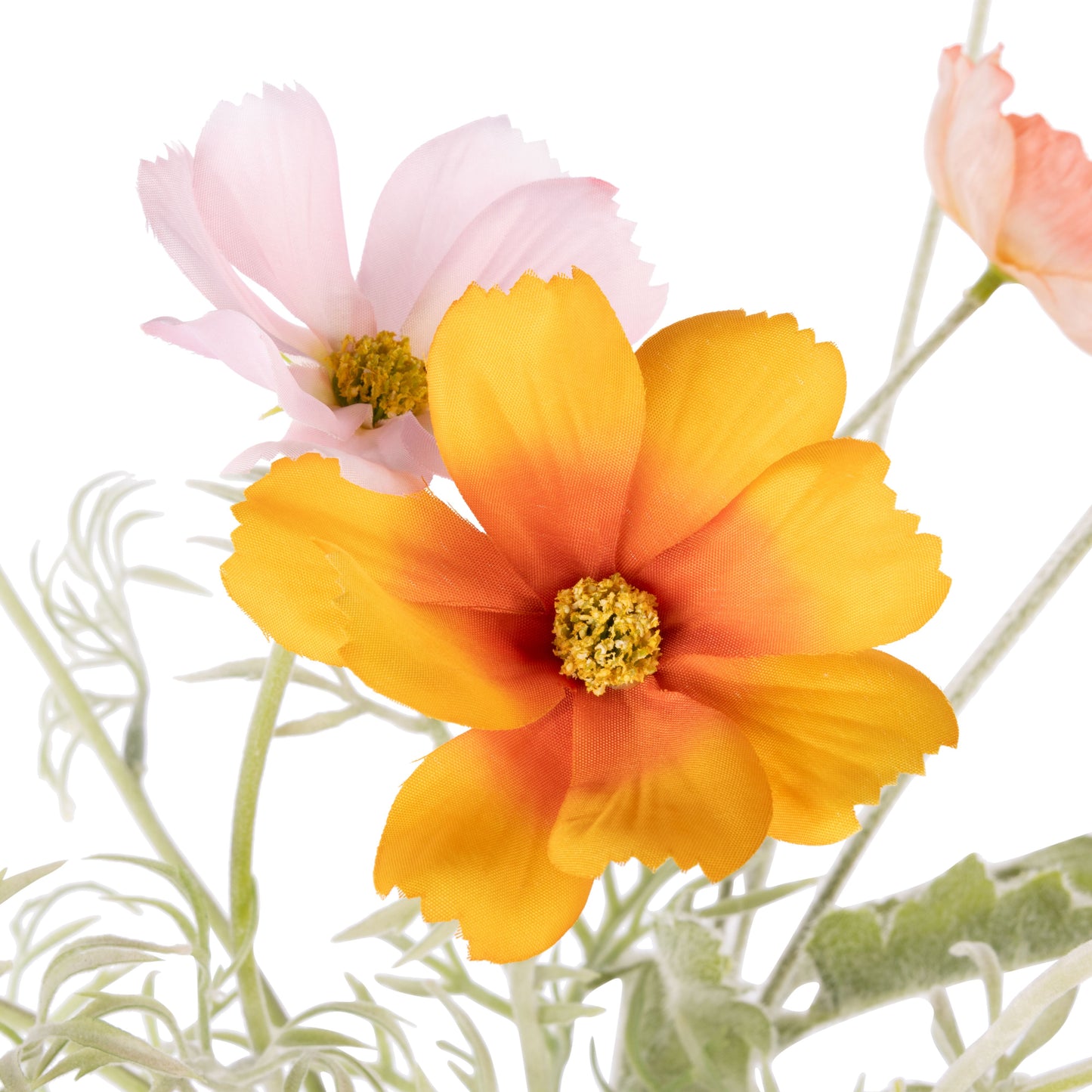 Rogue - Poppy Cosmos Mix - Giselle - Orange + Pink