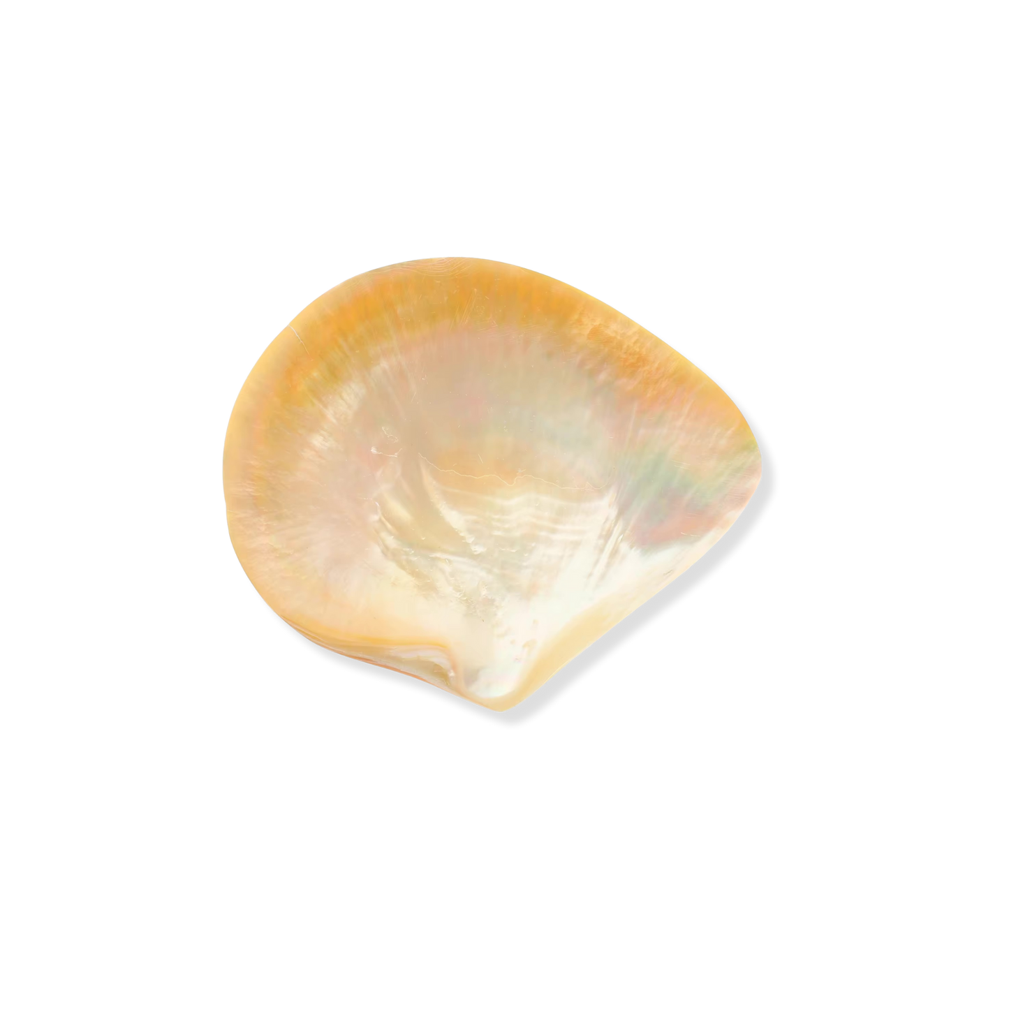 Saltist - The Mother of Pearl Caviar Set