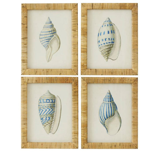 CTC - Heron Shell Framed Glass Print Series