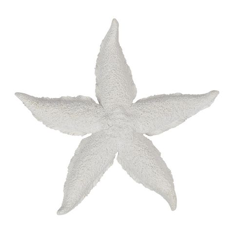 CTC - Starfish Resin Sculpture