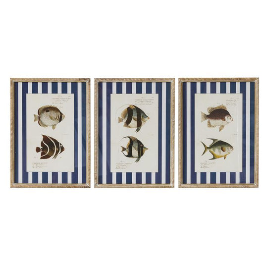 CTC - Aquatic Glass Frame Print