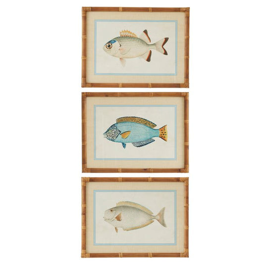 CTC - Nemo Frame Glass Print Series