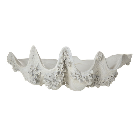 Rogue - Clam Vessel