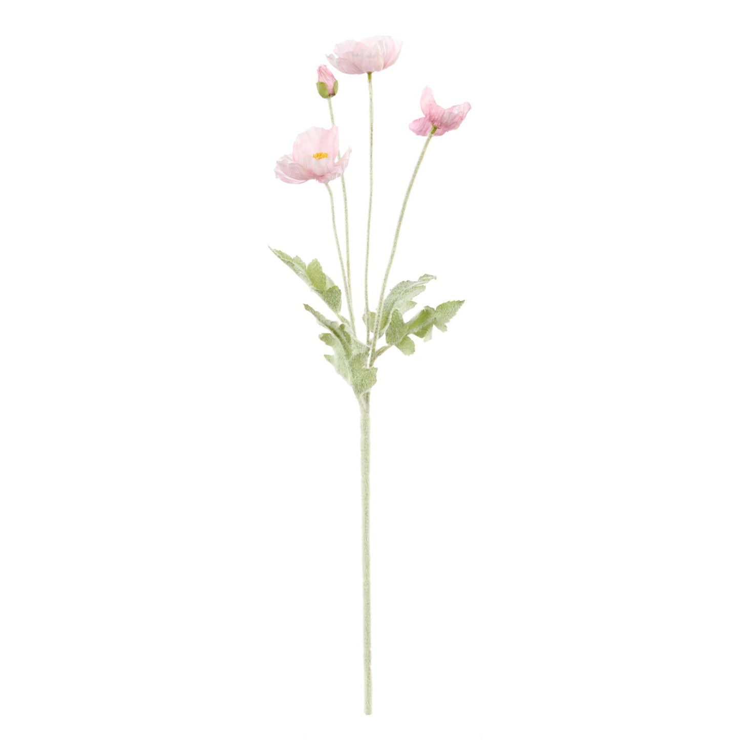 Rogue - Poppy Spray - Pink