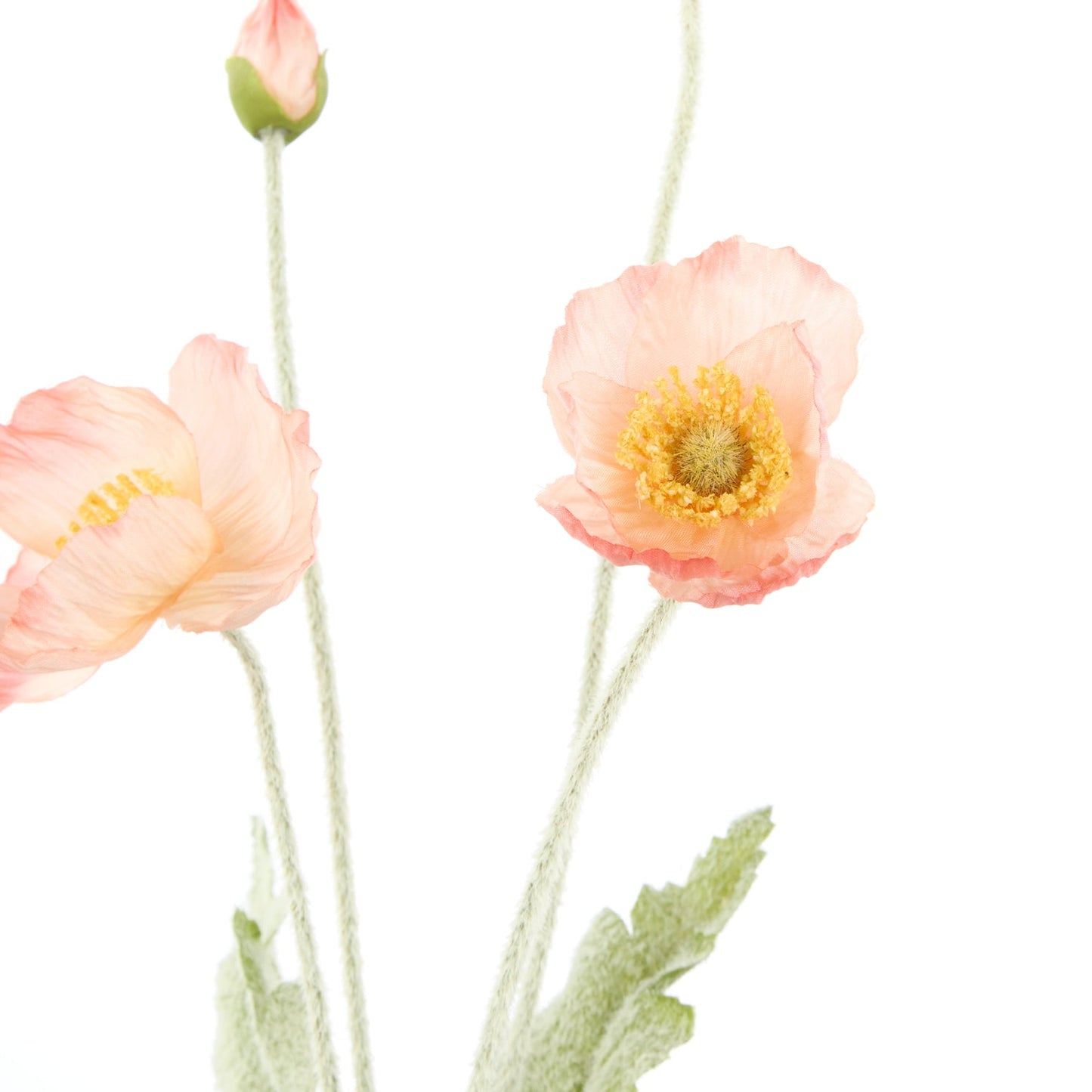 Rogue - Poppy Spray - Coral