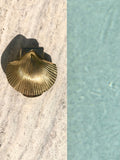 Load image into Gallery viewer, Scallop Shell Door Knocker
