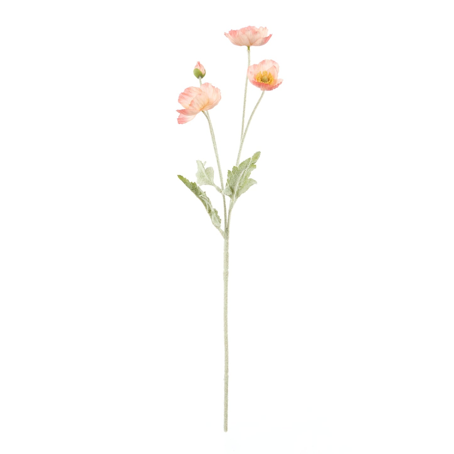 Rogue - Poppy Spray - Coral