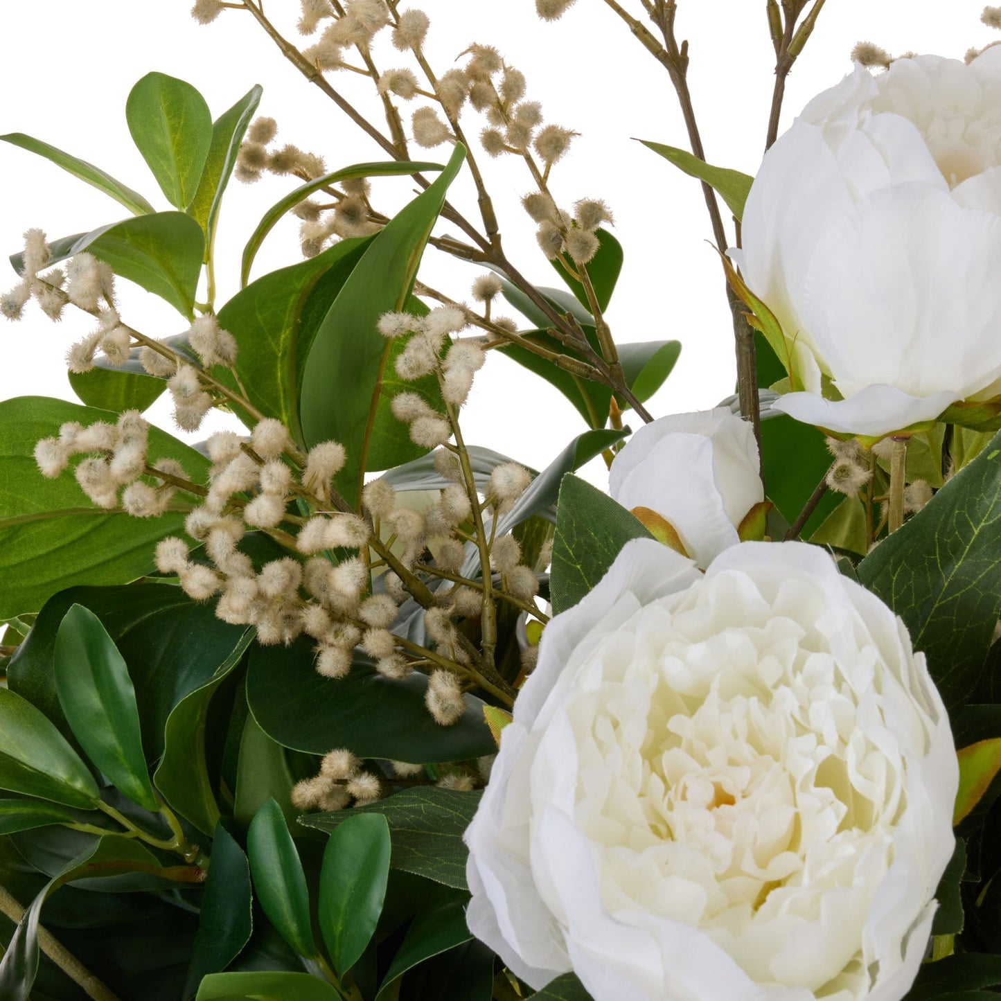 Rogue - Peony Lush Leaf - Alana White & Green