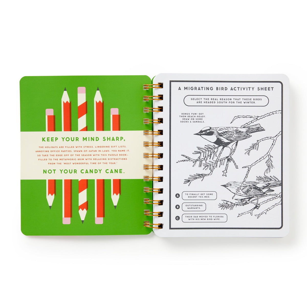 Brass Monkey - Beyond Bored at the Holidays - Activity Book