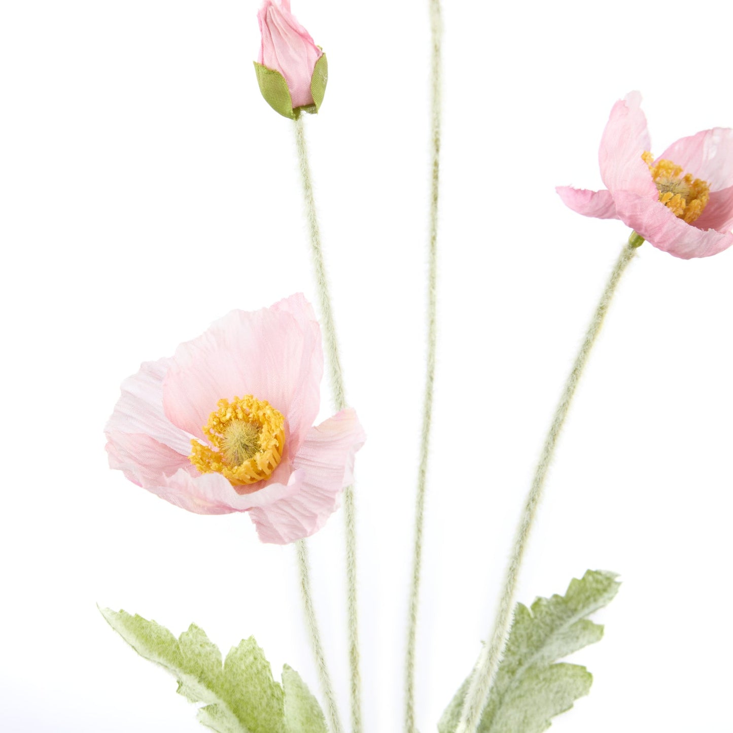 Rogue - Poppy Spray - Pink