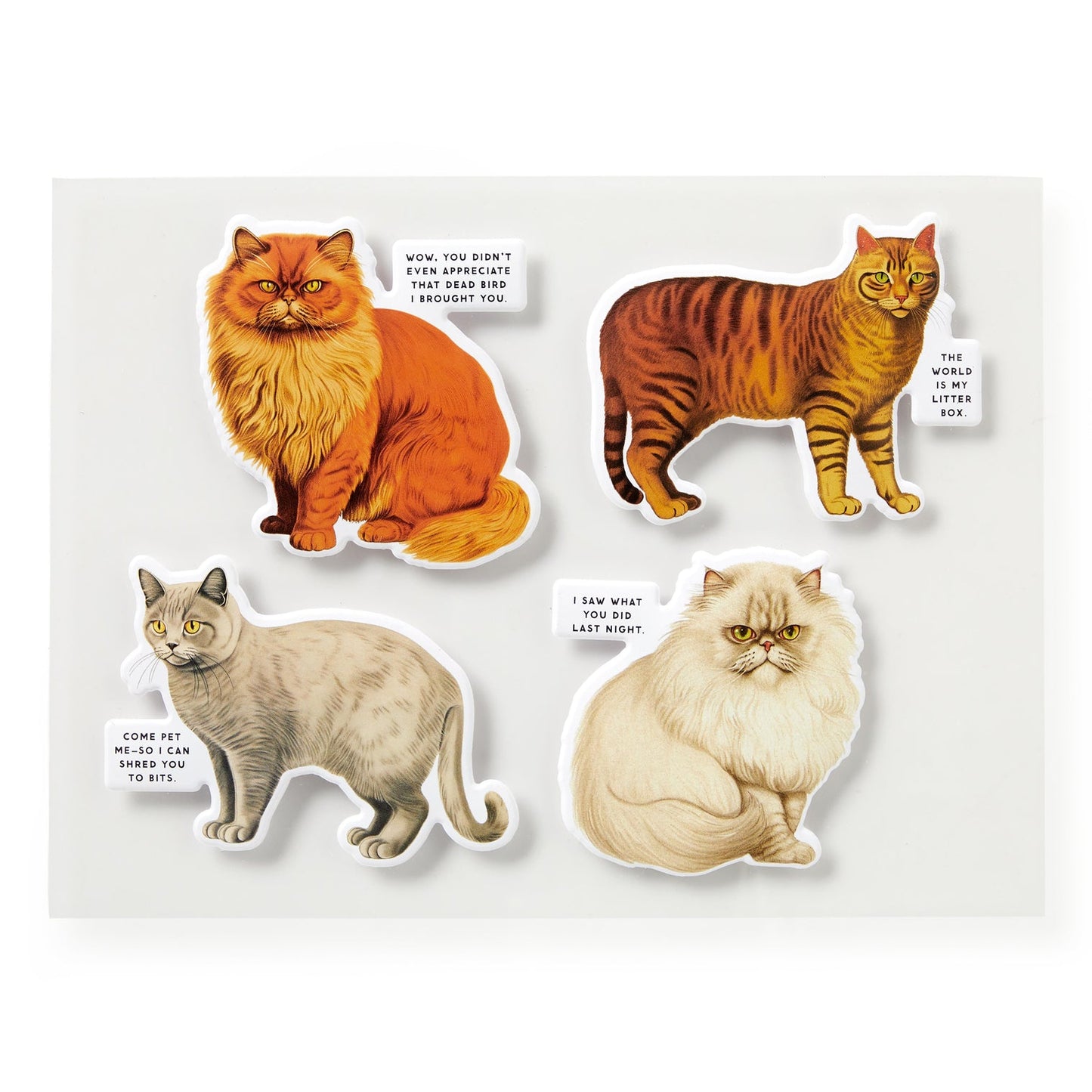Brass Monkey - Moody Cats - 1000pc Puzzle