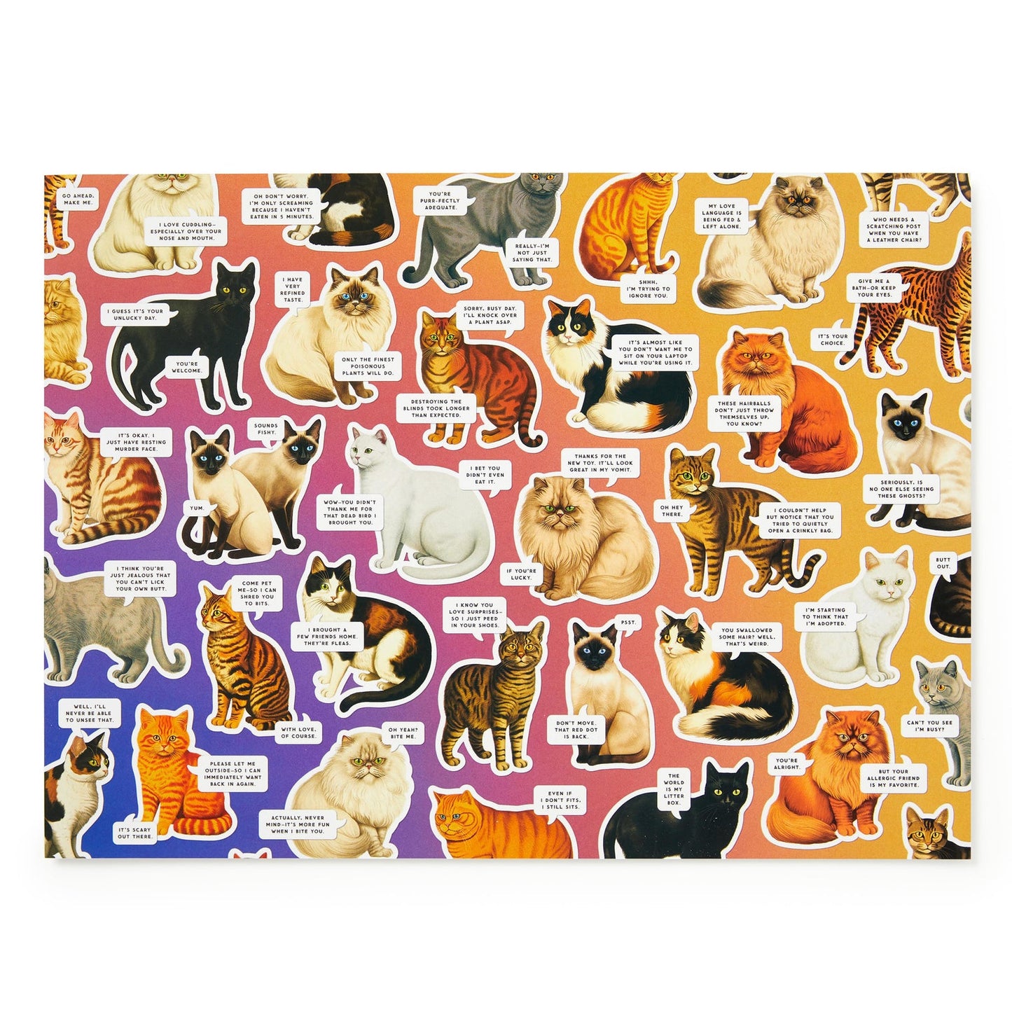 Brass Monkey - Moody Cats - 1000pc Puzzle