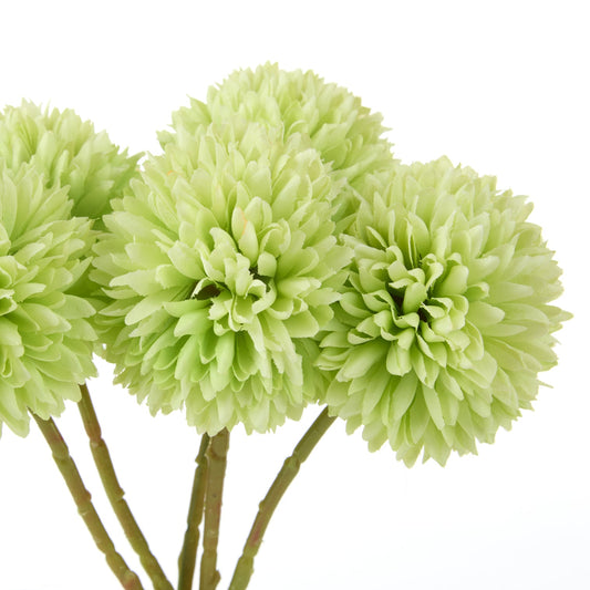 Rogue - Kiku Bunch - Green