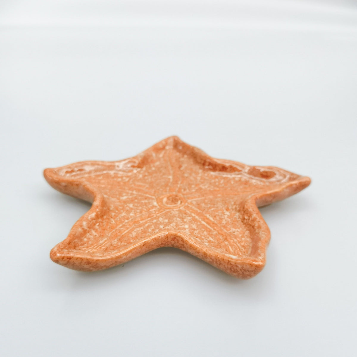 Urban - Reef Star Fish - Trinket Dish