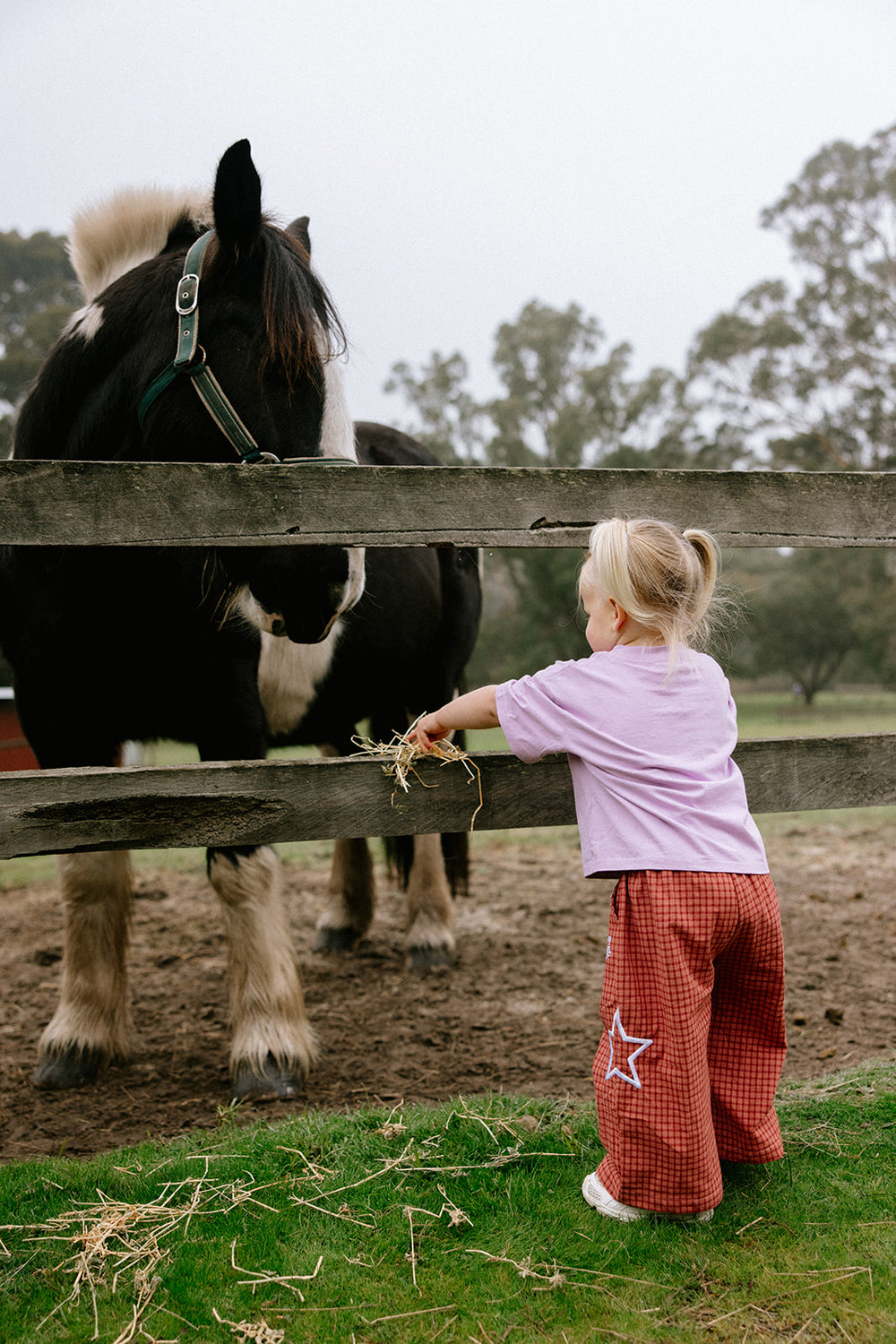 Sunday Siblings - Nash Pants - Red