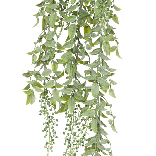 Rogue - Budding Hanging Bush