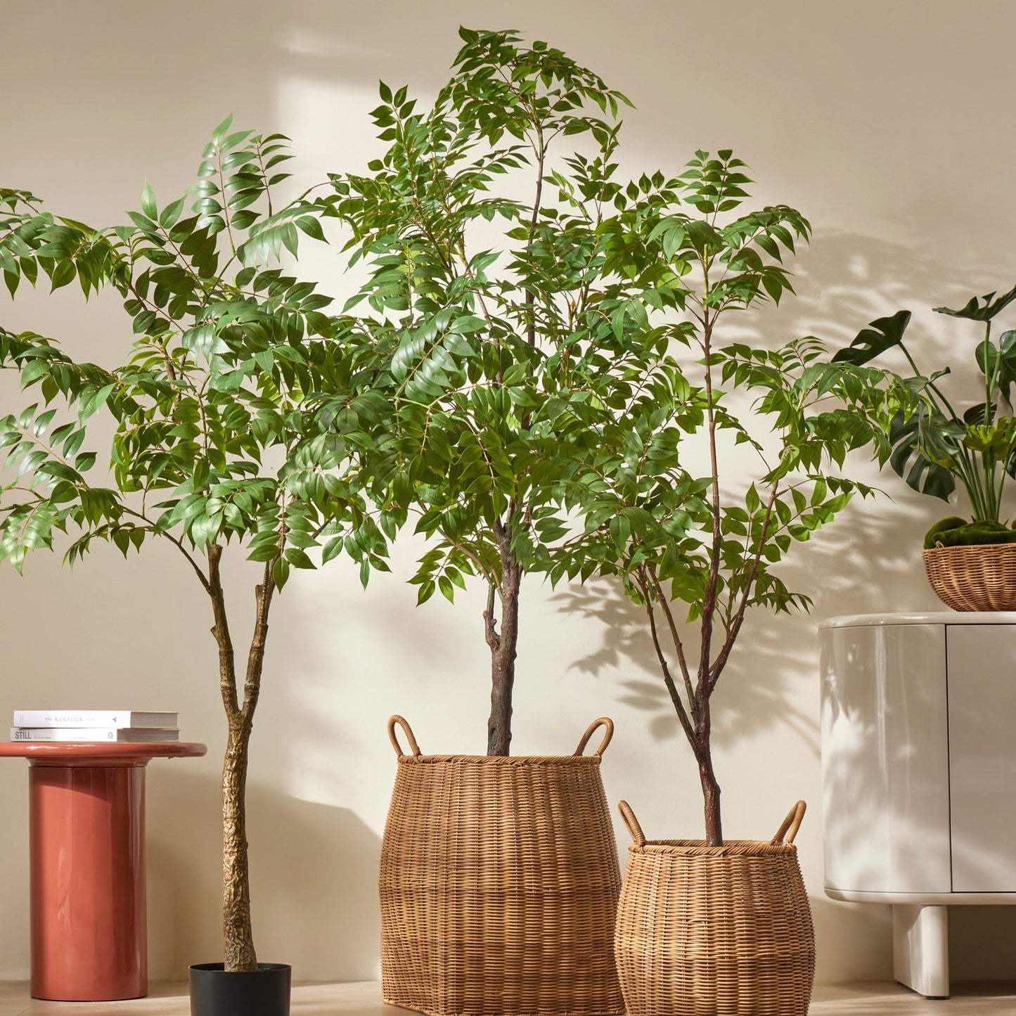 Rogue - Laos Rattan Planters