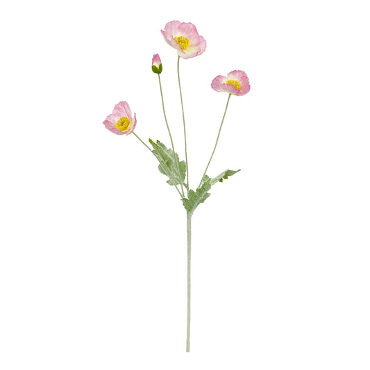 Rogue - Poppy Spray - Lilac