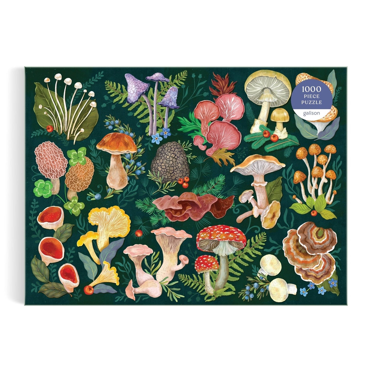 World of Mushrooms - 1000pc Puzzle
