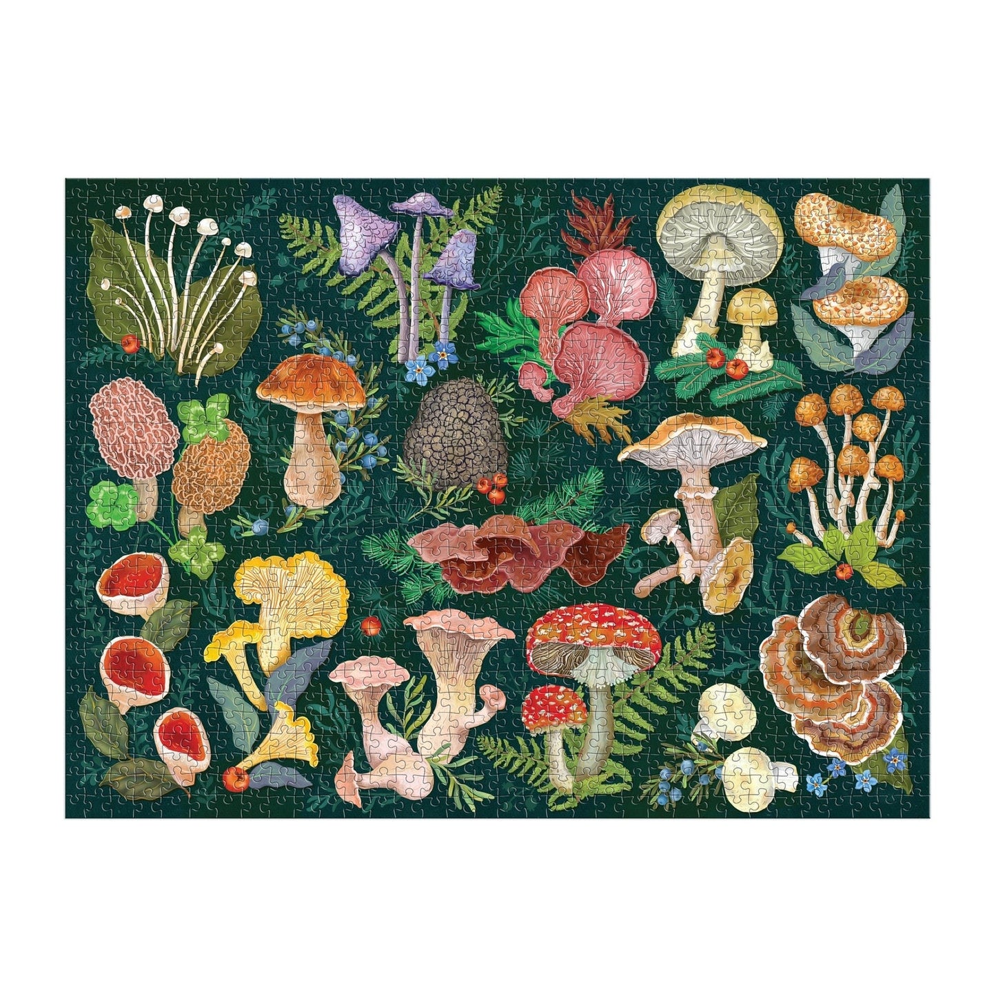 World of Mushrooms - 1000pc Puzzle
