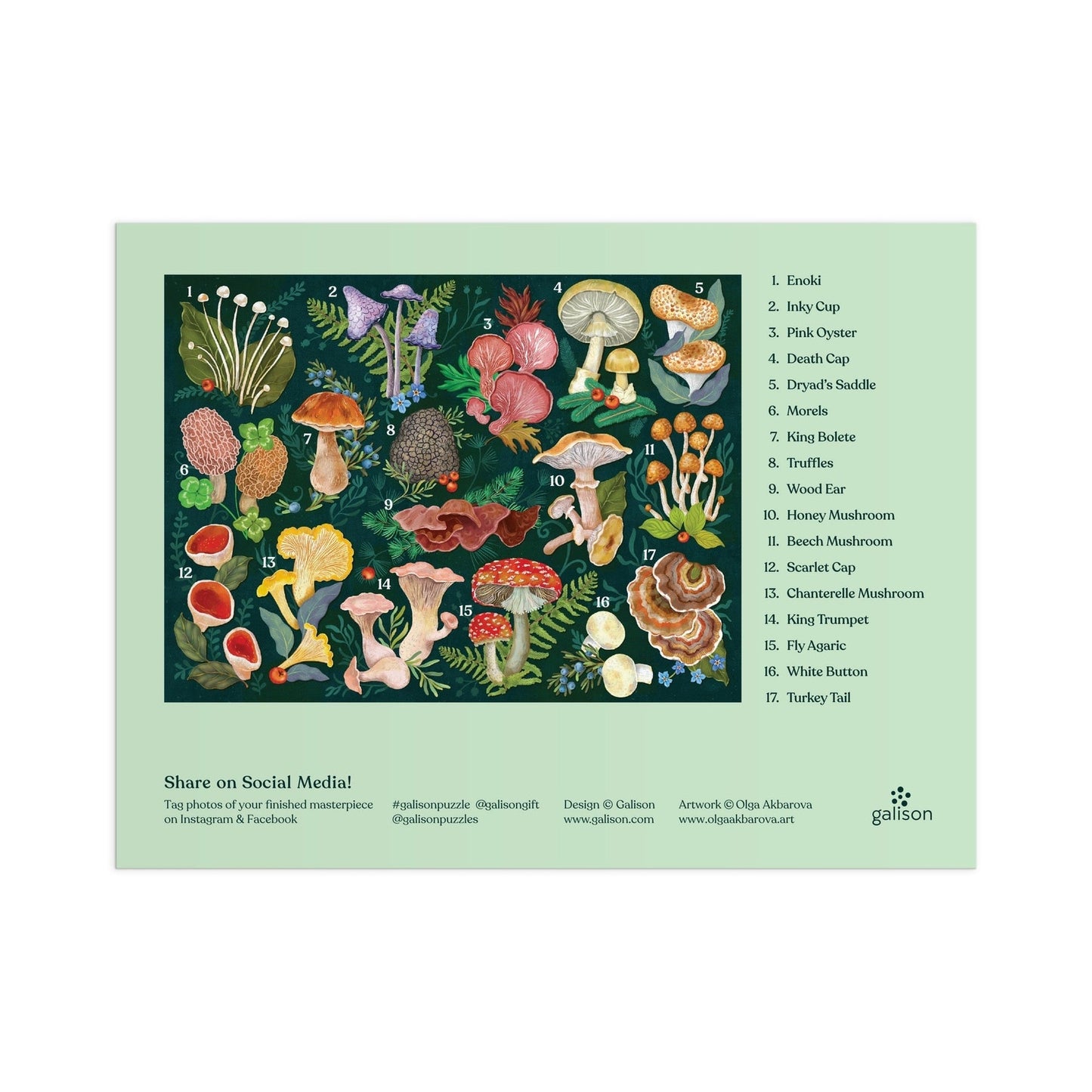 World of Mushrooms - 1000pc Puzzle