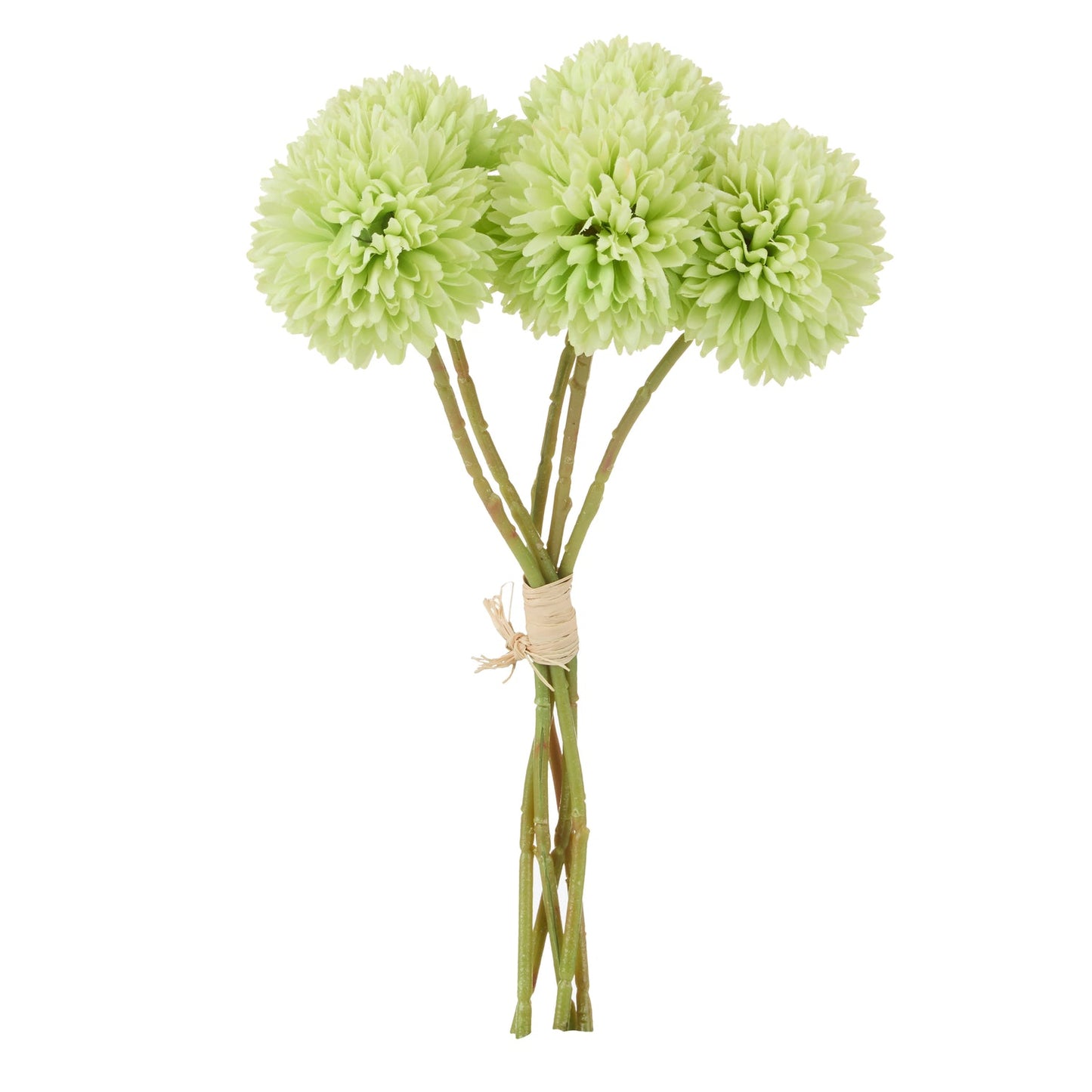 Rogue - Kiku Bunch - Green