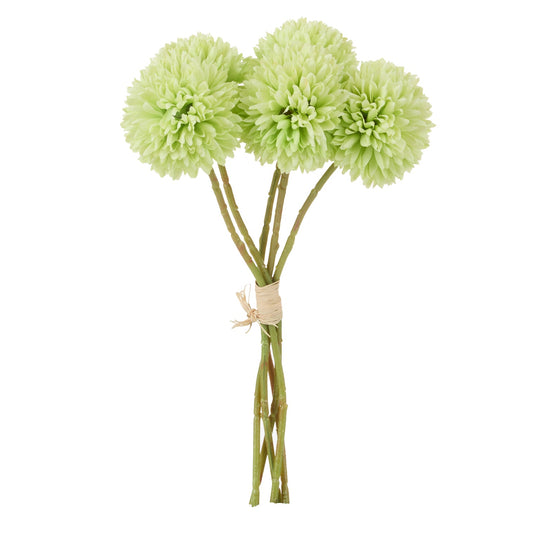 Rogue - Kiku Bunch - Green