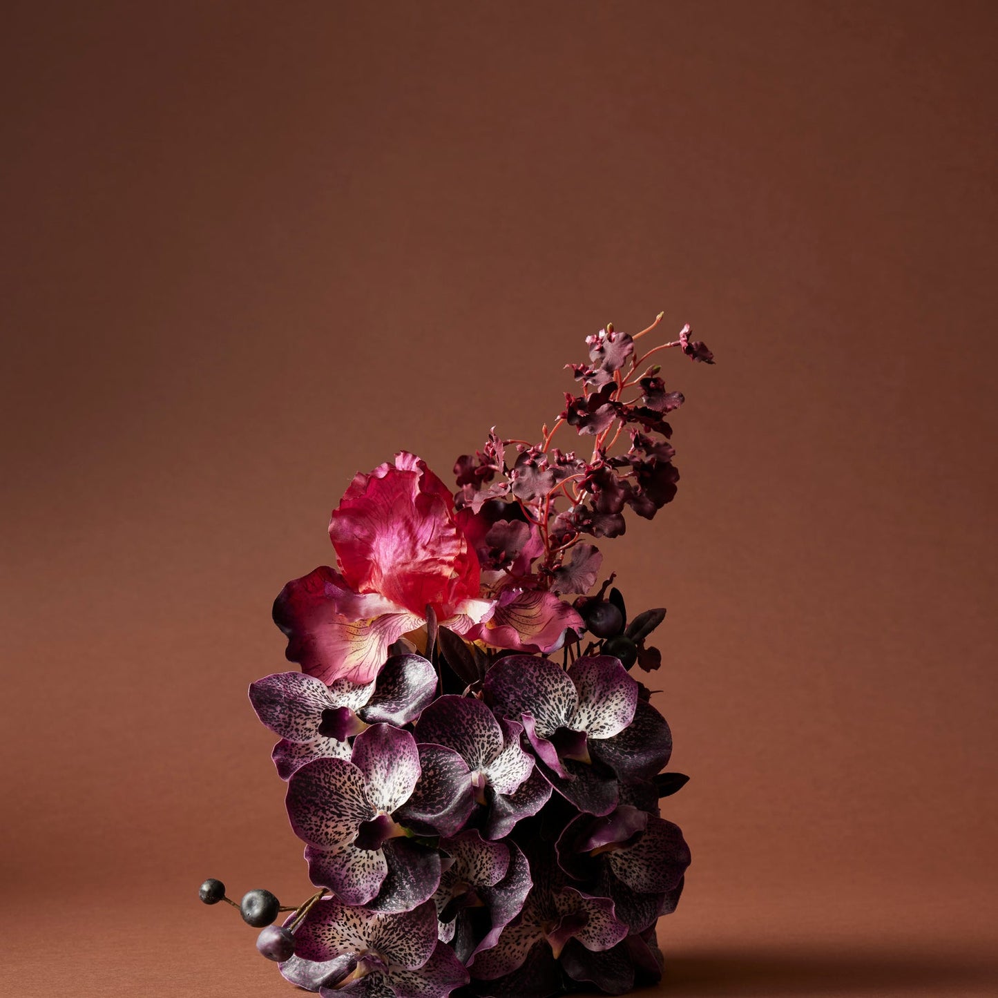 Rogue - Bearded Iris - Burgundy