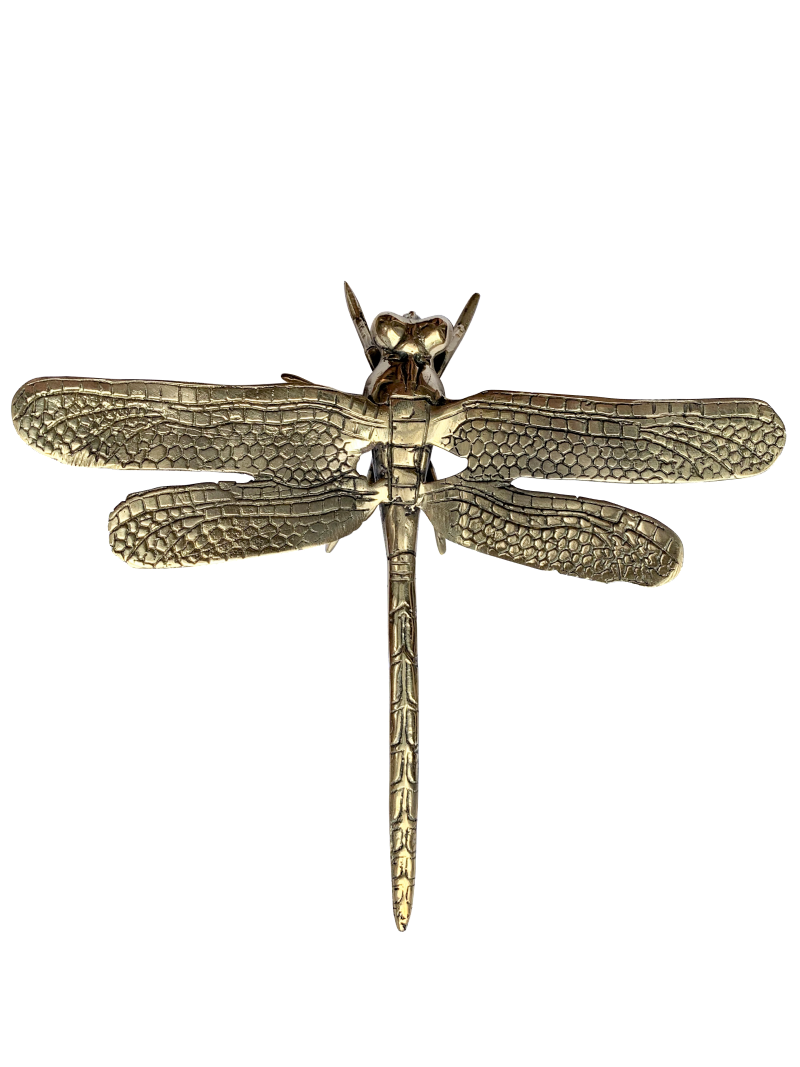 Pinapple Traders - Brass Dragonfly