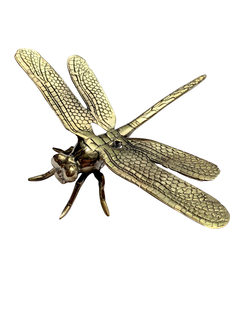 Pinapple Traders - Brass Dragonfly