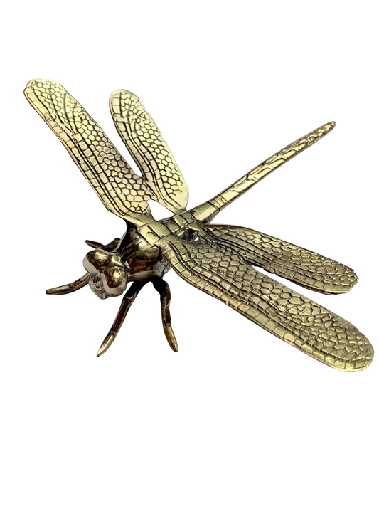 Pinapple Traders - Brass Dragonfly