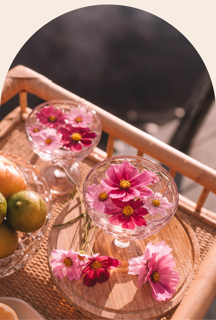 Wandering Folk Margarita Glassware - Set of 2