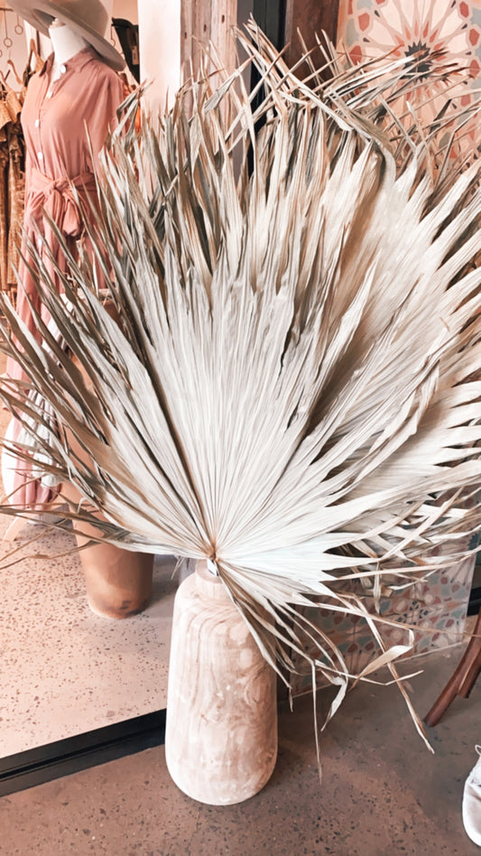 Dried Fan Palm